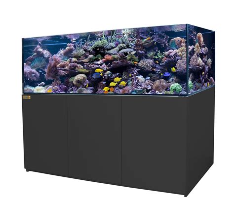 250 gallon fish tank|250 Gallon Fish Tank: An Ultimate Guide to Everything You.